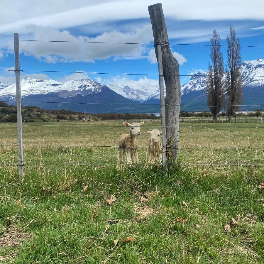 Estancia Nibepo Aike Colonia Francisco Perito Moreno Extérieur photo