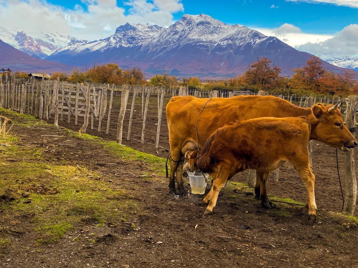 Estancia Nibepo Aike Colonia Francisco Perito Moreno Extérieur photo