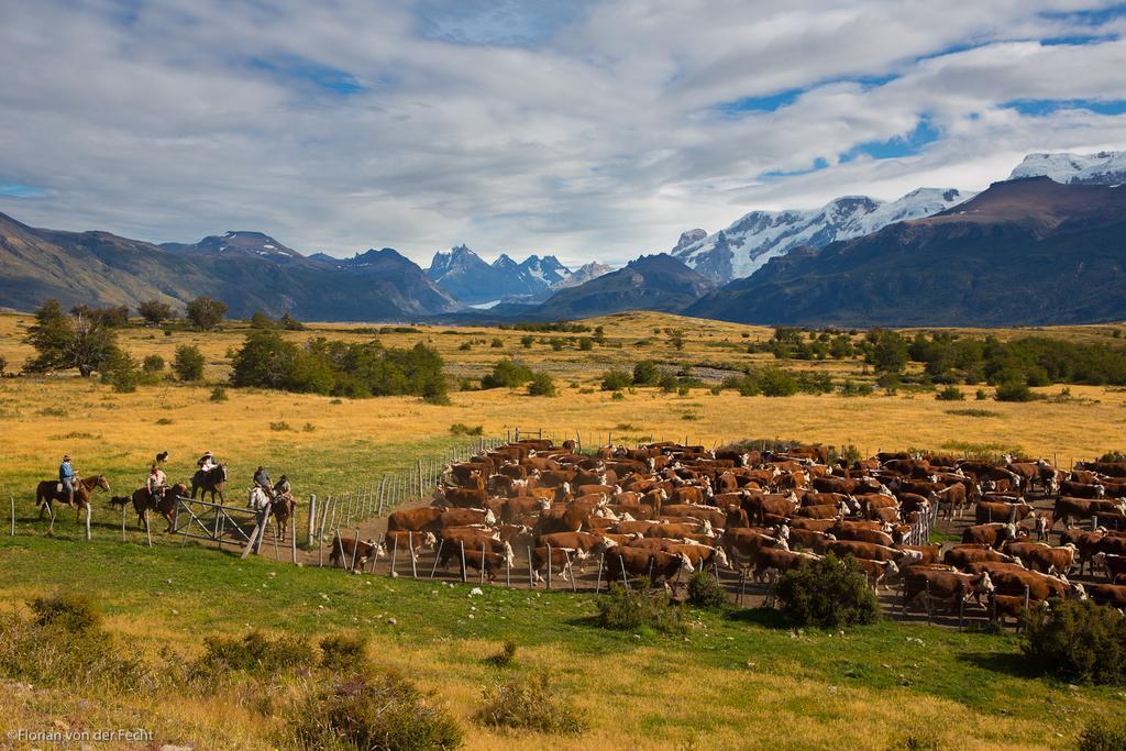 Estancia Nibepo Aike Colonia Francisco Perito Moreno Extérieur photo